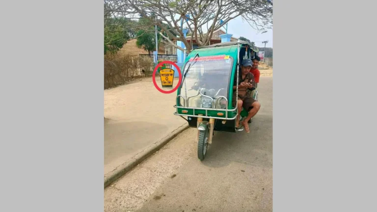 পাঁচ বন্ধুর সাহসী উদ্যোগে নতুন রেকর্ড