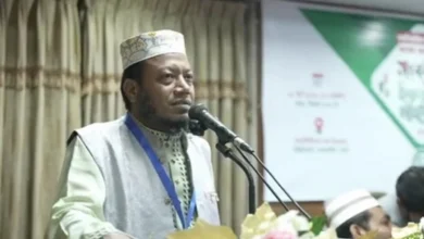 দেশের মানুষ সুশাসন দেখতে চায়: আমির হামজা