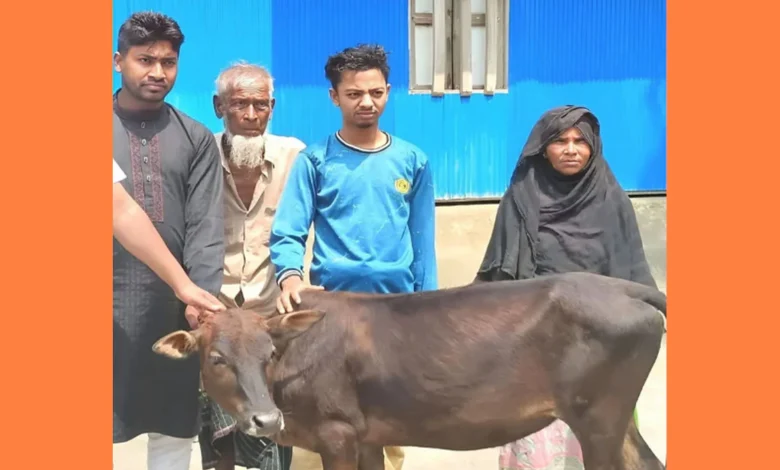 দিনমজুরের গরু চুরি, পাশে দাঁড়ালেন সৌদি প্রবাসী
