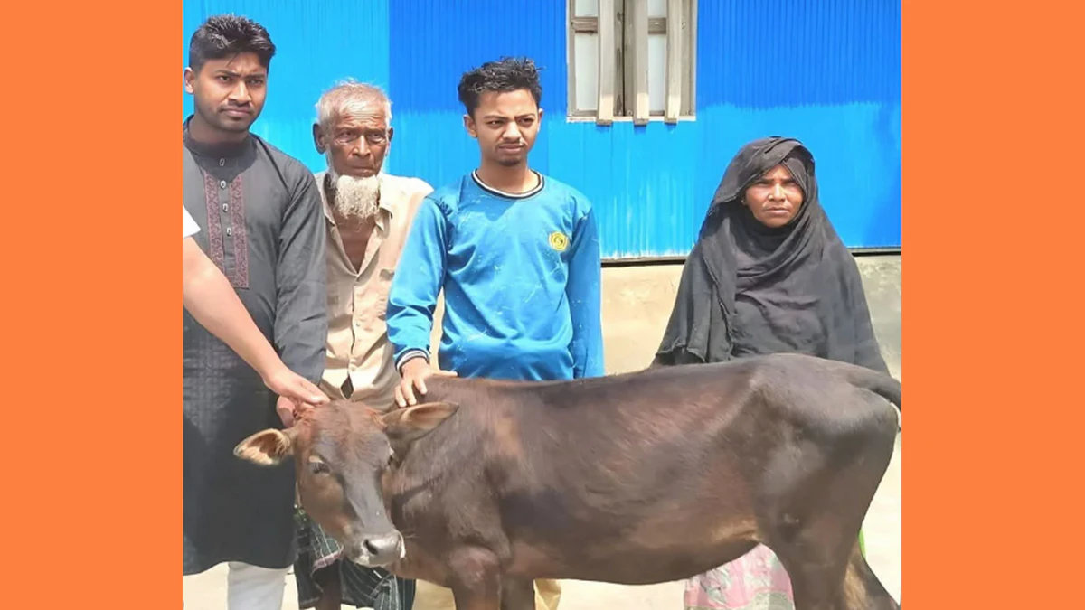 দিনমজুরের গরু চুরি, পাশে দাঁড়ালেন সৌদি প্রবাসী