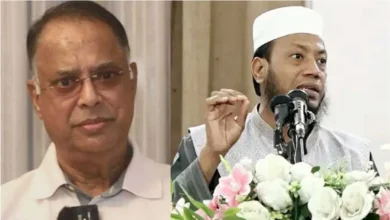 তারেক রহমানকে ‘খাম্বা’ বলে ডাকা হয়, তার মূল কারণ এই টুকু: আমির হামজা