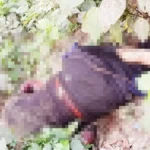 শ্রীপুরে রাস্তার পাশ থেকে অজ্ঞাত ব্যক্তির মরদেহ উদ্ধার