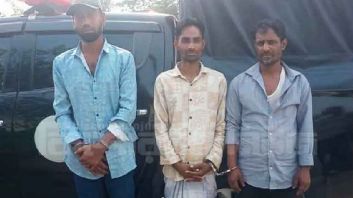কিশোরগঞ্জে ইয়াবা ও গাঁজাসহ আটক তিনজনের জেল-জরিমানা