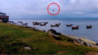 সেন্টমার্টিনের আকাশে মিয়ানমারের ড্রোন, উদ্বেগ বেড়েছে সীমান্তে