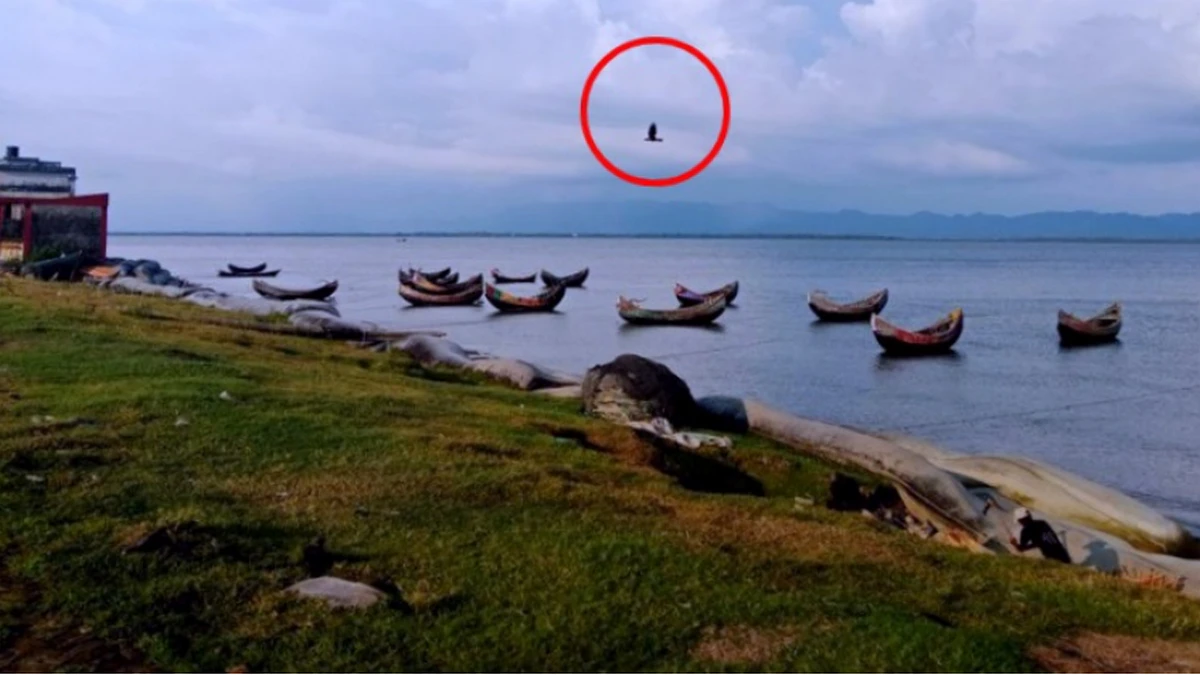 সেন্টমার্টিনের আকাশে মিয়ানমারের ড্রোন, উদ্বেগ বেড়েছে সীমান্তে