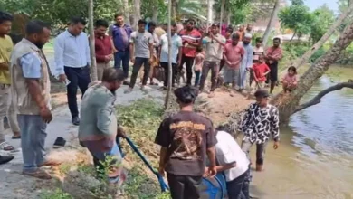 পুকুরে পানির নিচে মিললো ডিজেল