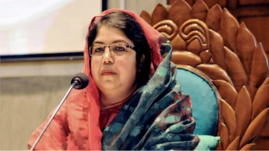 জুলাই হত্যাকাণ্ডের মামলায় গ্রেপ্তার দেখানো হতে পারে শিরীন শারমিনকে