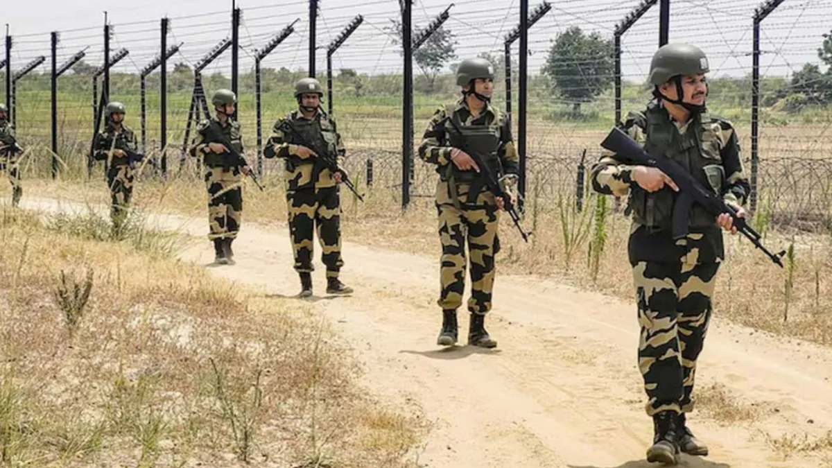 ভারত থেকে ফেরার পথে সীমান্তে বাংলাদেশি যুবক আটক—বিএসএফের হাতে সোহাগ আলী