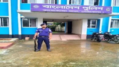পুকুরে ডুবে দেড় বছরের শিশুর মর্মান্তিক মৃত্যু, কলমাকান্দায় শোকের ছায়া
