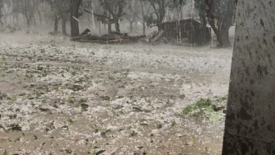 চাঁপাইনবাবগঞ্জে মৌসুমের প্রথম শিলাবৃষ্টি, আম ও ধানে বড় ক্ষতির আশঙ্কা