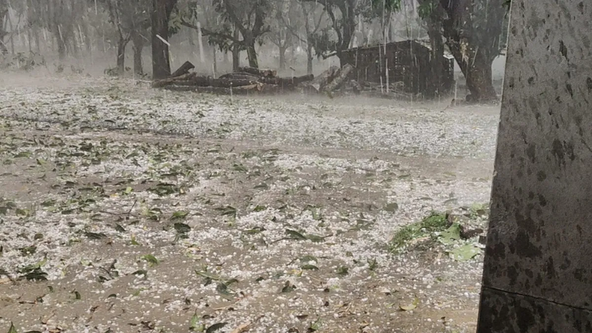 চাঁপাইনবাবগঞ্জে মৌসুমের প্রথম শিলাবৃষ্টি, আম ও ধানে বড় ক্ষতির আশঙ্কা