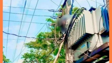 ট্রান্সফরমারে ঝুলেছিল পিডিবির লাাইনম্যানের মরদেহ