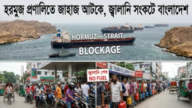 হরমুজ প্রণালিতে জাহাজ আটকে, জ্বালানি সংকটে বাংলাদেশ