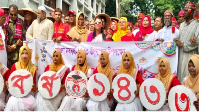 লোকজ সংস্কৃতির রঙে রাঙা সোনাতলাঃ বর্ণাঢ্য আয়োজনে পহেলা বৈশাখ উদযাপন