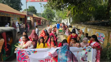 সলঙ্গায় শাহীন স্কুলে বর্ণাঢ্য আয়োজনে বাংলা নববর্ষ উদযাপন