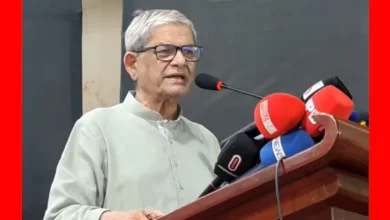 সরবরাহ কম নয়, তেলের সংকট তৈরি করা হয়েছে: মির্জা ফখরুল