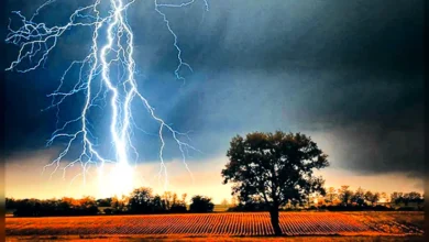 বজ্রপাতে ৭ জেলায় ১২ জনের প্রাণহানি।