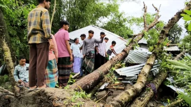 বৈশাখী ঝড়ে গাছ চাপা পড়ে মা ও দুই মেয়ের মর্মান্তিক মৃত্যু