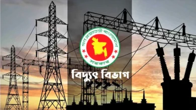 দুই দিন লোডশেডিং মুক্ত ছিল দেশ : বিদ্যুৎ বিভাগ