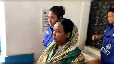 জামিন পেলেন সেলিনা হায়াৎ আইভী