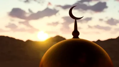 মহানবী (সা.) সর্বোত্তম বলেছেন যে উপার্জনকে