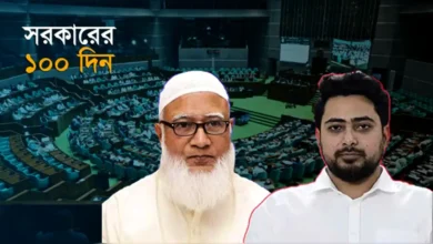১০০ দিনে সমালোচনা, ওয়াকআউট কেমন ছিল বিরোধীদলের ভূমিকা