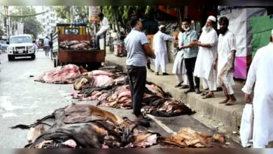 ‘৬০০-৭০০ টাকার চামড়া ১৫০-৩০০ টাকায় বিক্রি করতে বাধ্য হচ্ছি’