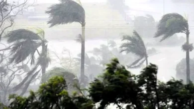 ৮ জেলায় বৃষ্টি ঝরবে, সতর্কবার্তা আবহাওয়া অফিসের