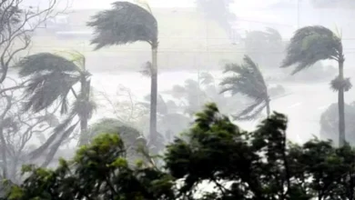 ৮ জেলায় ঝড়ের শঙ্কা, নদীবন্দরে সতর্ক সংকেত