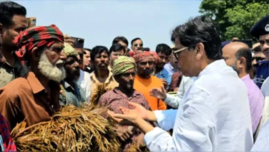 আমিও কৃষক, আমার ধানটা এরকম পচলে বুঝতাম কত কষ্ট: কৃষিমন্ত্রী