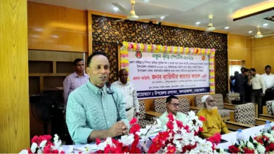 আমরা লুট করতে আসিনি, দেশকে দিতে এসেছি: ডেপুটি স্পিকার
