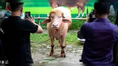 বাংলাদেশের ‘ডোনাল্ড ট্রাম্প’ এবার আন্তর্জাতিক গণমাধ্যমে