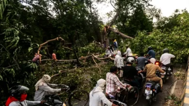 ভারতে কালবৈশাখী ঝড়ের ফলে নিহতের সংখ্যা ১১০ থেকে ১১১-এ বেড়েছে