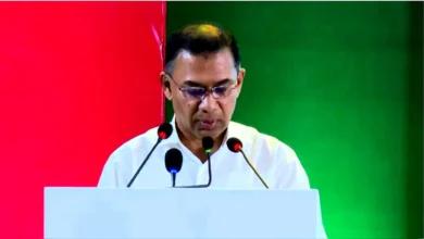বিএনপির দলীয় ইশতেহার এখন সরকারের ইশতেহার: প্রধানমন্ত্রী