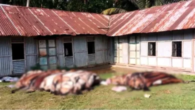 বিক্রি না হওয়ায় মাটিতে পুঁতে ফেলা হলো দেড় শতাধিক চামড়া
