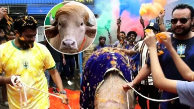 বিশ্বজুড়ে ভাইরাল বাংলাদেশের সেই ‘ডোনাল্ড ট্রাম্প’র রাজকীয় বিদায়
