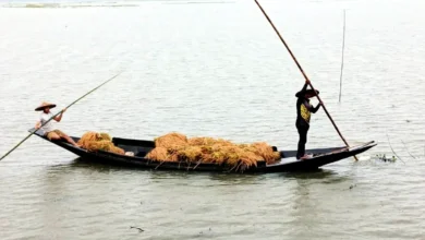 ৮টি নদীর পানি বিপদসীমার ওপর, বন্যার শঙ্কা বেড়েছে