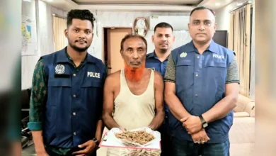 বোরহানউদ্দিনে পুলিশের অভিযানে আটক ১