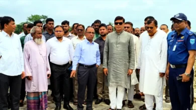 ব্রীজ আছে, রাস্তা নেই; উদ্বোধনে গিয়ে ক্ষোভ ঝাড়লেন পানি সম্পদ প্রতিমন্ত্রী