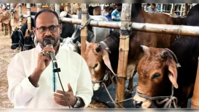 চোরাই পথে গরু প্রবেশ ঠেকাতে সর্বোচ্চ প্রস্তুত বিজিবি: প্রাণিসম্পদ প্রতিমন্ত্রী