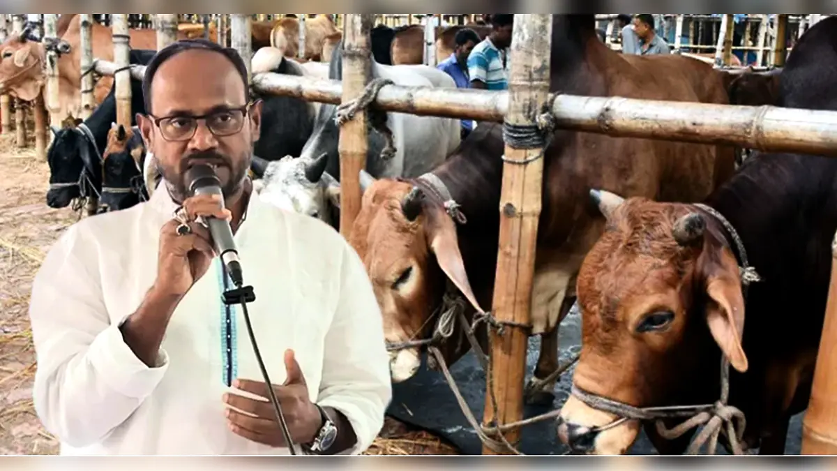 চোরাই পথে গরু প্রবেশ ঠেকাতে সর্বোচ্চ প্রস্তুত বিজিবি: প্রাণিসম্পদ প্রতিমন্ত্রী