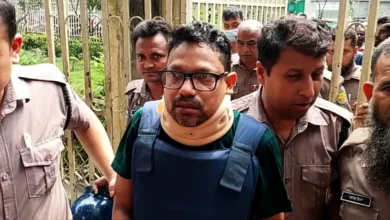 দেশবাসীর কাছে সুস্থতার জন্য দোয়া চাইলেন পলক