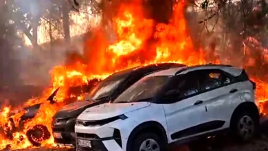 দিল্লিতে পার্ক করা গাড়িবহরে ভয়াবহ অগ্নিকাণ্ড