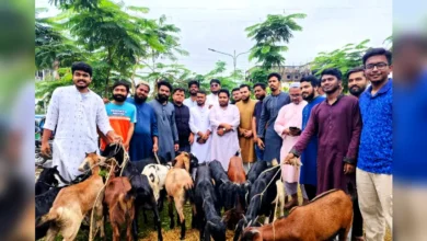 জুলাই শহীদ পরিবারের জন্য এনসিপি কোরবানির পশু দিল