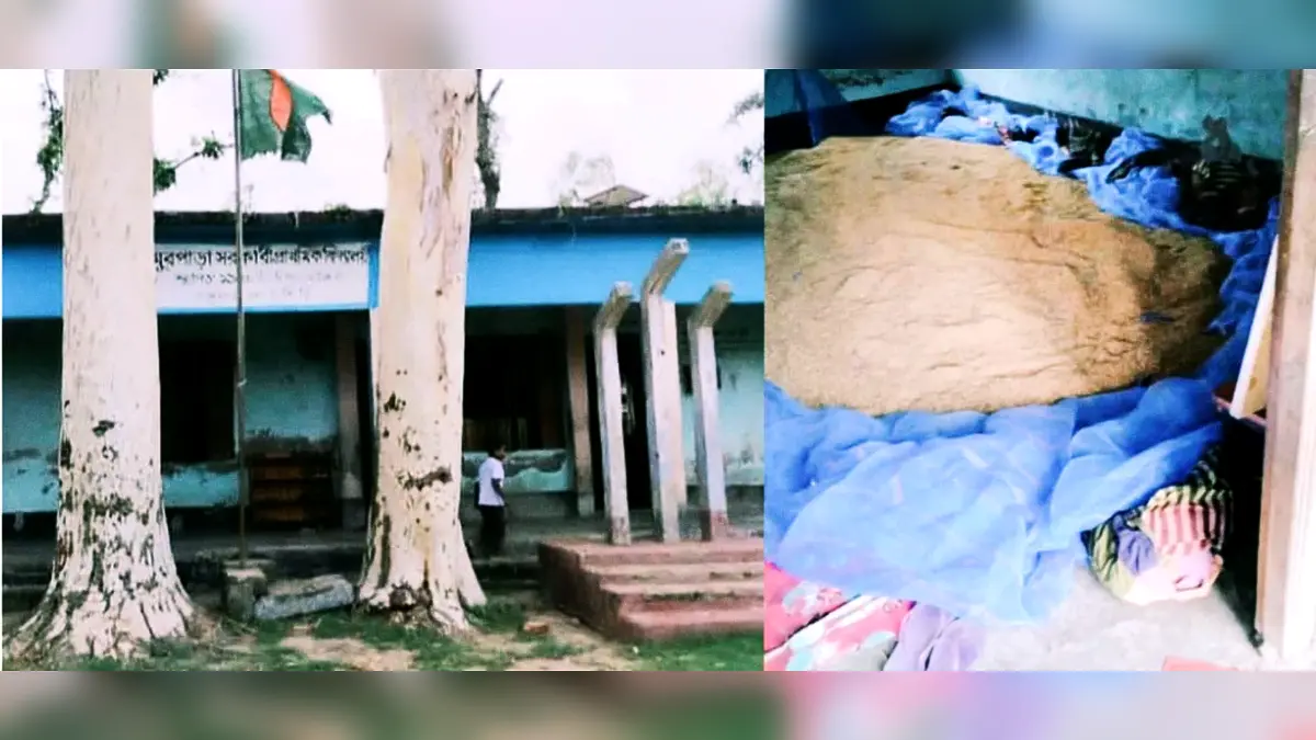 গাবতলী সরকারি স্কুলে ফ্যান চালিয়ে ধান শুকানো: তদন্তের আশ্বাস ইউএনও’র