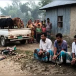গাজীপুরে গরু চুরির অভিযোগে গণপিটুনিতে নিহত ৩