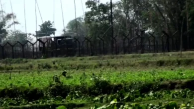 হাতীবান্ধা সীমান্তে বিএসএফের গুলিতে বাংলাদেশি নিহত