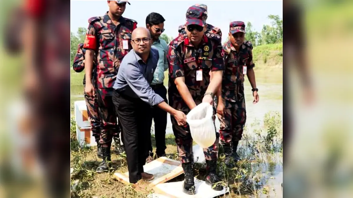 হবিগঞ্জে বিজিবির অভিযানে ২ কোটি টাকার অবৈধ গলদা চিংড়ির রেনু পোনা জব্দ