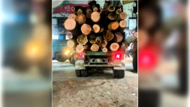ঈদগাঁওতে পবিত্র ঈদুল আযহার সুযোগে বনাঞ্চল উজাড়