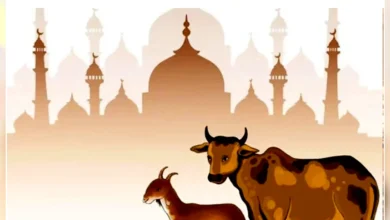 ঈদুল আজহার সম্ভাব্য তারিখ ২৭ মে